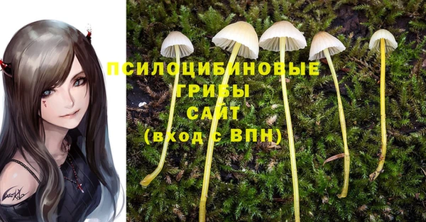 дмт Михайлов
